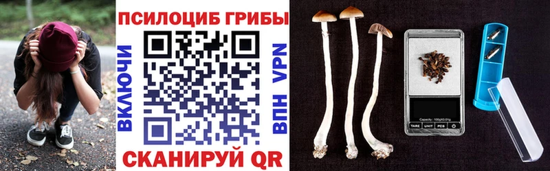 Псилоцибиновые грибы мухоморы  Цоци-Юрт 