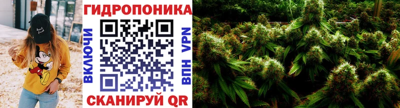 Шишки марихуана SATIVA & INDICA  blacksprut ссылка  Цоци-Юрт 